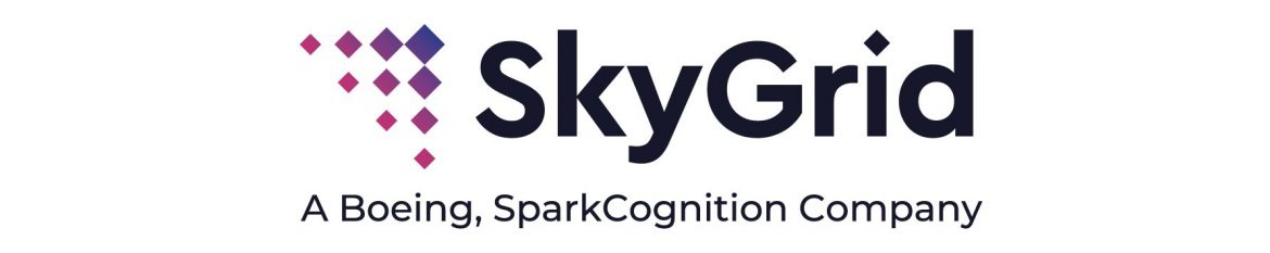 SkyGrid Logo